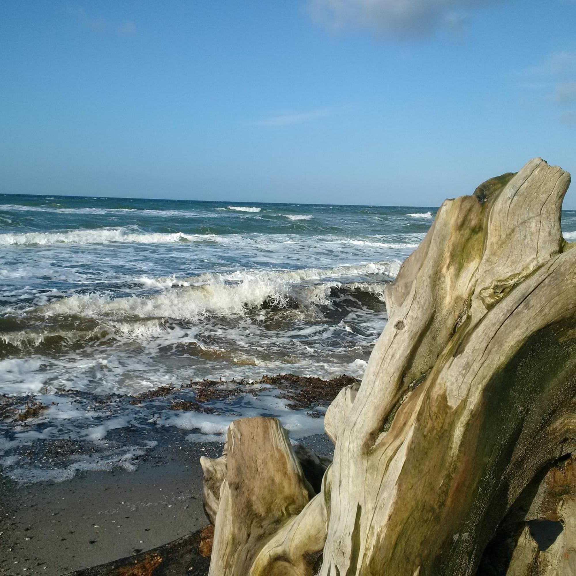 Duene-9 In Dierhagen-Strand Pokój zdjęcie